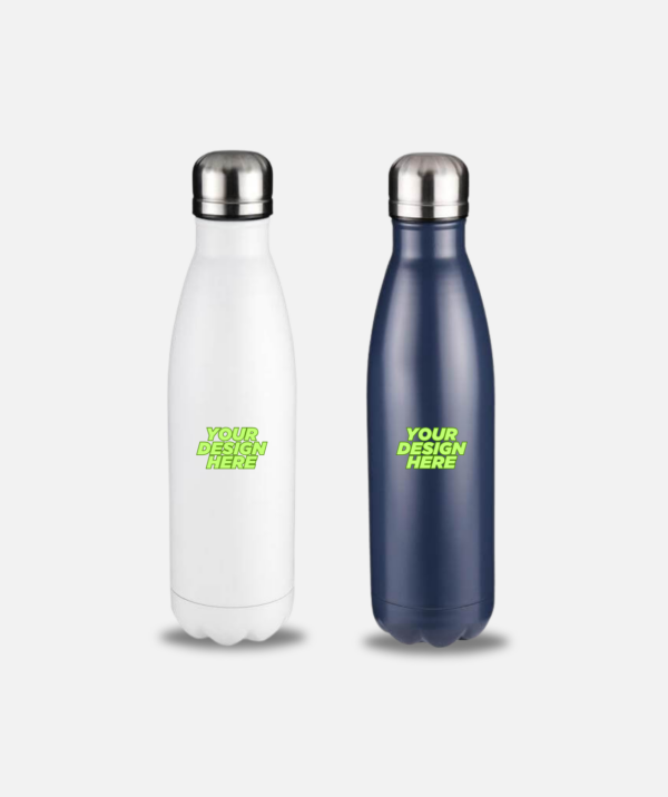Promotional Double Wall Stainless Steel Water Bottle