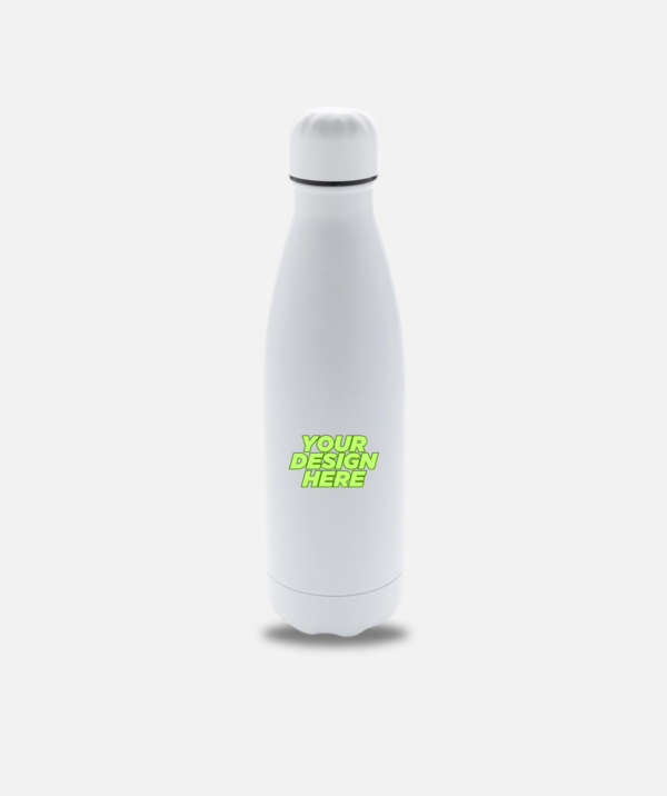 Double Wall Stainless Steel Bottle