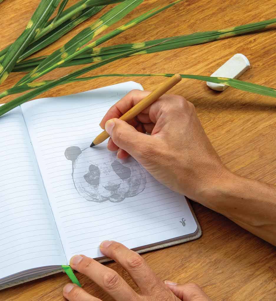 ETERNITY Bamboo Pencil
