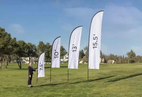 Flags - Image 3
