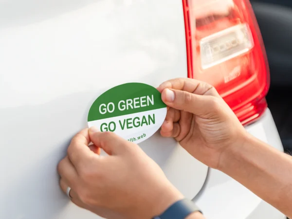 Bumper Stickers - Image 4