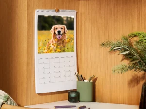 Wall Calendars